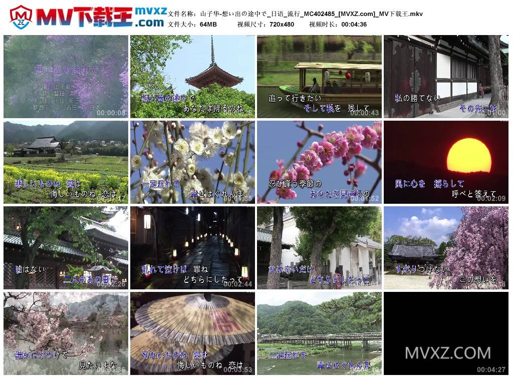 山子华-想い出の途中で_日语_流行_MC402485